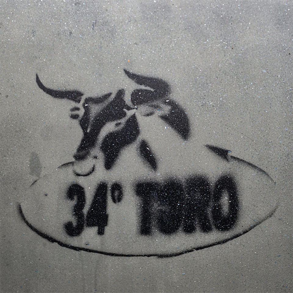 AE 205 DP34 VENARIA REALE 20150514 GAS18