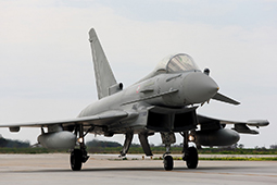 AM BIRGI 250211 TF25 CD8R1395T