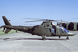 EI A109 81253 19900629 Viterbo PaRo T