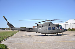 EI AB412 81262 20130204 Viterbo GiCi T