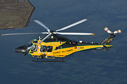 AW169 GDF 11