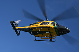 AW169 GDF 13