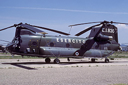 EI CH47 81231 19900629 Viterbo PaRo T