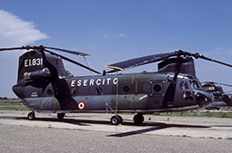 EI CH47 81232 19900629 Viterbo PaRo T
