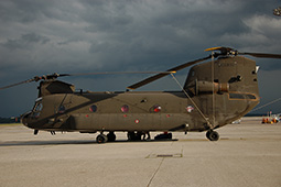 EI CH47 81386 20100723 MXP GiCi T