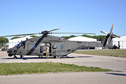 EI NH90 81533 20130204 Viterbo GiCi T
