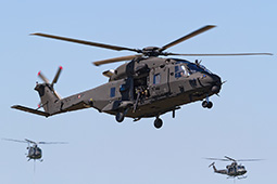 EI NH90 81536 20120510 Viterbo MoDeG T