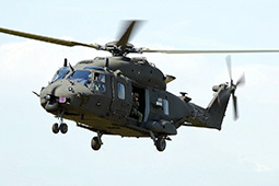 EI NH90 81556 20190316 Casarsa RoZa T