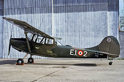 EI O1E 61 2983 19900629 Viterbo PaRo T